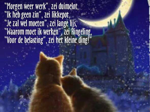 Belasting Sprookje.jpg
